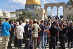 عشرات المستوطنين يقتحمون الأقصى المبارك منذ صباح اليوم