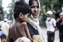 الأمم المتحدة تطالب بتحقيق فوري في الجرائم ضد مسلمي الروهنغيا