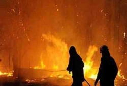 إصابة 6 أشخاص فى انفجار منصة نفط بولاية لويزيانا الأمريكية