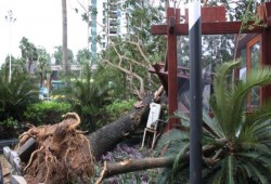 إعصار «خانون» يضرب جنوب الصين.. إجلاء نحو نصف مليون شخص