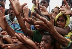 "العفو" تدعو المجتمع الدولي لوقف حملة القمع ضد الروهينجا