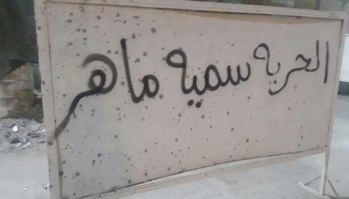 جداريات بدمنهور تستنكر اختطاف "سمية حزيمة" على يد ميليشيات السيسي