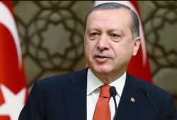 "أردوغان" يستنكر بشدة مساعي البعض للتشكيك في السنة النبوية
