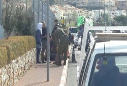 الاحتلال يعتقل فتاة من الخليل وفتى من القدس المحتلة
