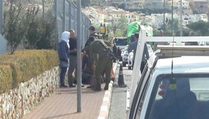 الاحتلال يعتقل فتاة من الخليل وفتى من القدس المحتلة