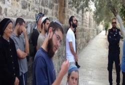 82 مستوطنا صهيونيا يقتحمون الأقصى