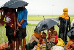 "غارديان": نصف فتيات الروهنغيا المغتصبات قاصرات