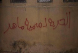 حملة "اسبراي" بدمنهور تطالب بالإفراج عن "سمية ماهر"
