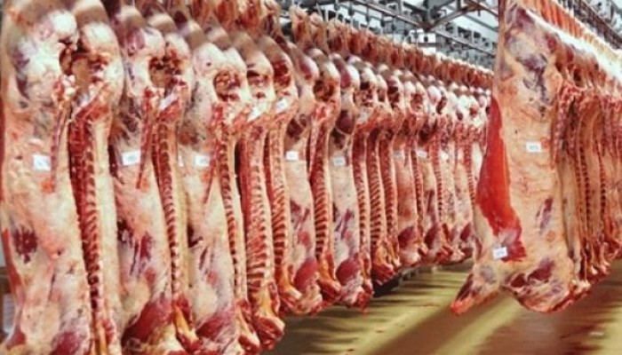 شعبة القصابين: الركود سبب انخفاض أسعار اللحوم بالأسواق