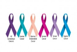 خُمس السرطانات المشخصة عالميا نسائية