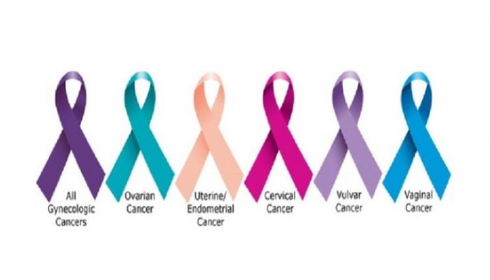خُمس السرطانات المشخصة عالميا نسائية