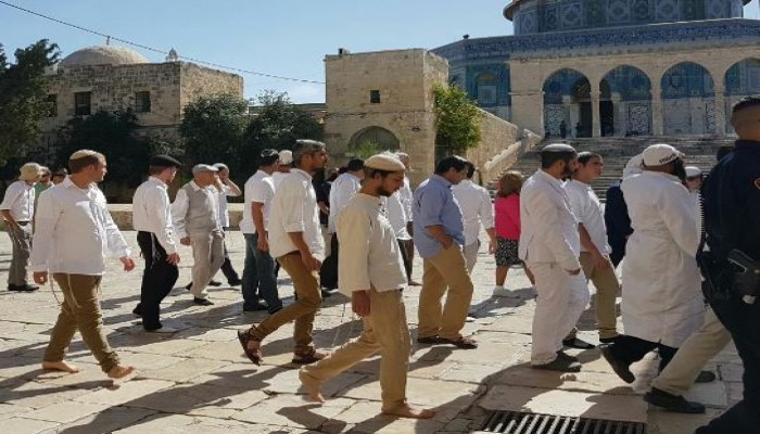 22 من قطعات الهمج الصهاينة يدنسون باحات المسجد الأقصى