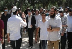 مستوطن صهيوني يدهس طفلا فلسطينيًا شمالي الضفة الغربية‎‎