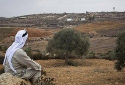 فلسطين المحتلة.. قرارات صهيونية بـ"وضع اليد" على أراضٍ واسعة بالأغوار