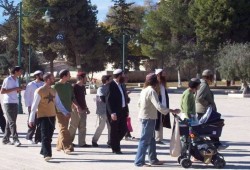 88 من قطعان الهمج والجنود الصهاينة يقتحمون "الأقصى"