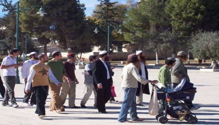 88 من قطعان الهمج والجنود الصهاينة يقتحمون "الأقصى"