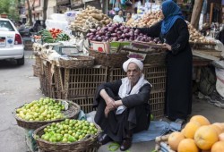 الكويت تشدد الرقابة على المنتجات الزراعية المصرية