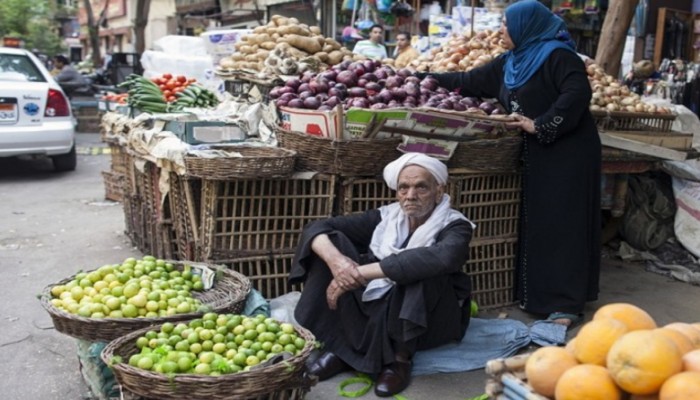 الكويت تشدد الرقابة على المنتجات الزراعية المصرية