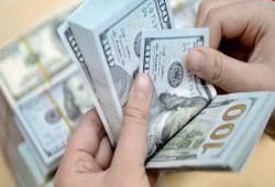 الدولار يستقر في 10 بنوك عاملة في مصر بداية تعاملات اليوم