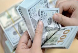 الدولار يستقر في 10 بنوك عاملة في مصر بداية تعاملات اليوم
