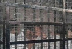 أحكام بالسجن لـ16 شخصا من رافضي الإنقلاب بأسيوط