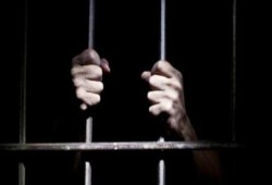 أبرز محاكمات الشامخ ليوم الخميس