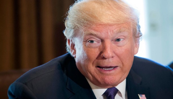 ديلي ميل: من هي زعيمة الحزب المغمورة التي احتفى بها ترامب؟