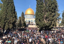 انتفاضة رابعة فى الذكرى الثلاثين لانتفاضة الحجر الفلسطينية