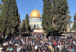 انتفاضة رابعة فى الذكرى الثلاثين لانتفاضة الحجر الفلسطينية