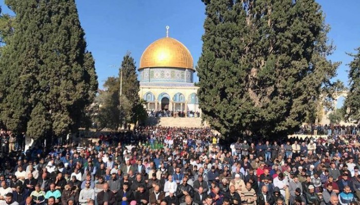 انتفاضة رابعة فى الذكرى الثلاثين لانتفاضة الحجر الفلسطينية