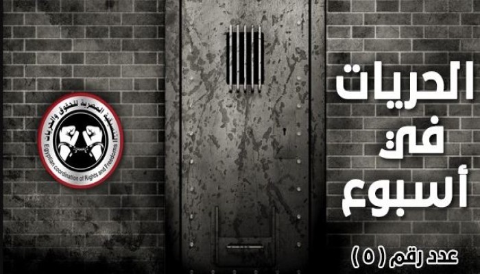 منظمة حقوقية: الرئيس في خطر واعتقال 49 شخصًا في أسبوع