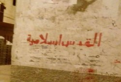 "حملة اسبراي" بكفر الدوار دعما القضية الفلسطينية