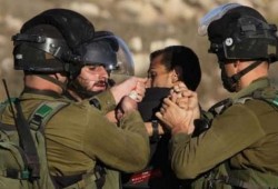 260 معتقلا فلسطينيا بسجون الاحتلال منذ إعلان ترامب