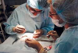 حكومة اللصوص تخصم نسبة من تبرع إيطالي لطفلة مصرية