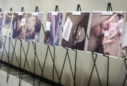 هل يخرج المعتقلون لدى النظام السوري عبر بوابة أستانا؟ (إنفوجرافيك)