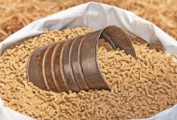 الانقلاب يواصل الضغط على الفلاحين ويرفع أسعار مكونات الأعلاف