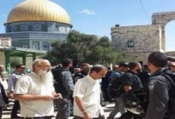 متطرفون صهاينة يقتحمون المسجد الأقصى بحراسة شرطة الاحتلال