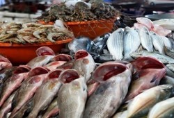 تعرف على الأسعار: البلطي بـ28 جنيها في الجيزة والكندوز بـ145 في الغربية