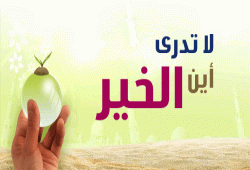 لا تدري أين الخير