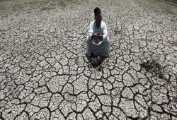 كارثة جديدة لخدمة مافيا الاستيراد.. «1,2» مليون فدان تراجعًا في زراعة القمح