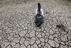 كارثة جديدة لخدمة مافيا الاستيراد.. «1,2» مليون فدان تراجعًا في زراعة القمح