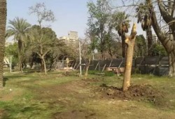 الحدائق العامة بالدقهلية.. مرتعا للإهمال ووكر للمتسولين