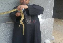 العثور على ثعبان ضخم داخل وحدة صحية في البحيرة