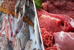 البلطي بـ29 والكندوز بـ120.. تعرف على أسعار الأسماك واللحوم اليوم