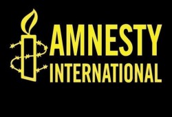 غموض مصير "عنان" و"العفو الدولية" تعتبره "توقيفا تعسفيا"