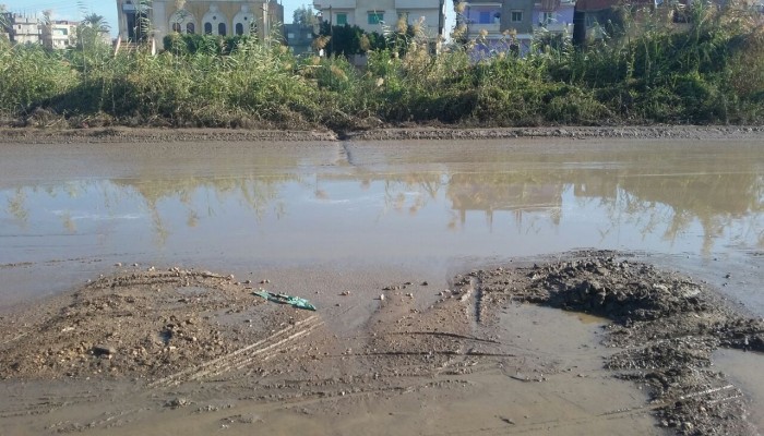 شوارع البحيرة تتحول لبرك ومستنقعات بسبب الأمطار الغزيرة