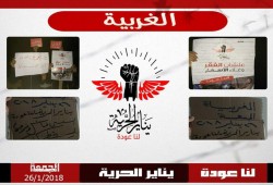 وقفة ليلية لثوار الغربية تحت شعار "يناير الحرية.. لنا عودة"