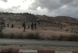 44 إصابة بالغاز والرصاص المطاطي في مواجهات مع الاحتلال بأريحا