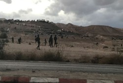 44 إصابة بالغاز والرصاص المطاطي في مواجهات مع الاحتلال بأريحا