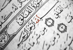 تأملات في سورة الفلق